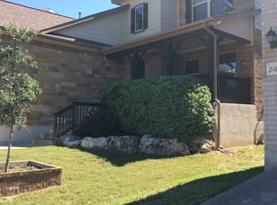 Jerry J.'s Bush Trimming service result