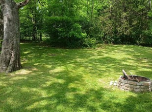 C.M. B.'s lawn service service result