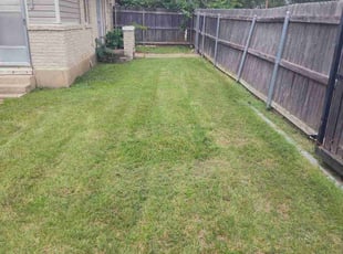 Ruben S.'s lawn service service result