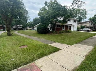 Tim M.'s grass maintenance service result