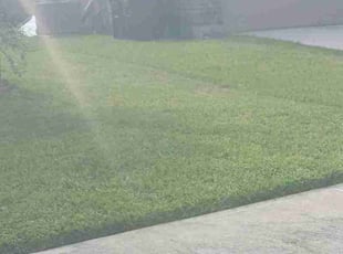 Tristan R.'s lawn maintenance service result