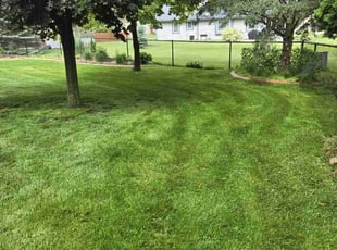 Michael K.'s lawn service service result