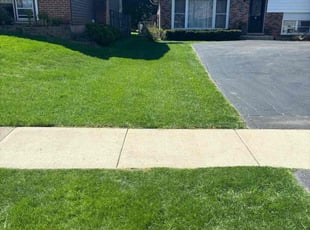 Manivasagam S.'s turf care service result