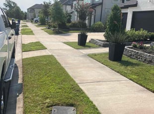 Salvador O.'s grass maintenance service result