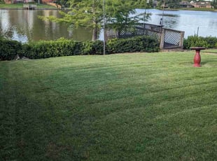 Katie B.'s lawn maintenance service result