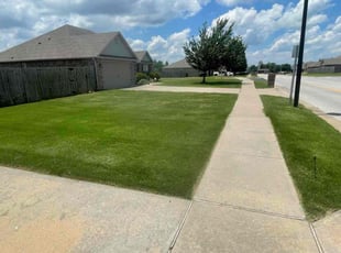 Peter H.'s lawn maintenance service result