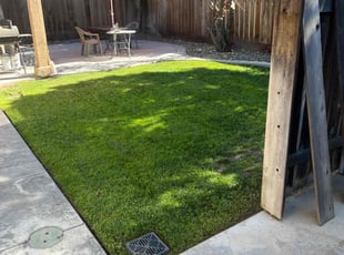 Margaret C.'s lawn maintenance service result