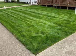 Hector V.'s yard work service result