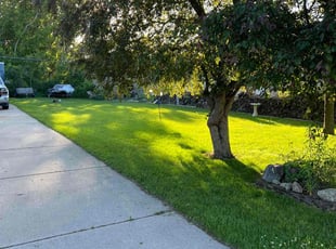 Wayne W.'s lawn care services service result
