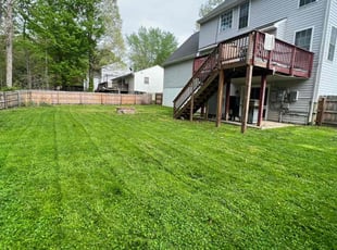 Nancy F.'s grass cutting service result