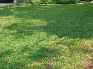 Vernon K.'s lawn care services service result