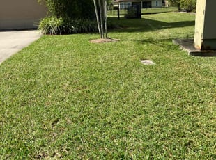 Larry U.'s grass maintenance service result