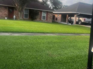 Damien O.'s grass maintenance service result