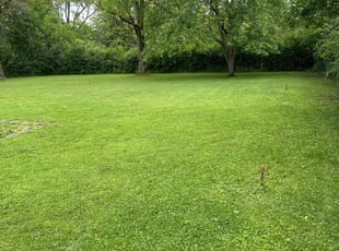 Sheila A.'s turf maintenance service result