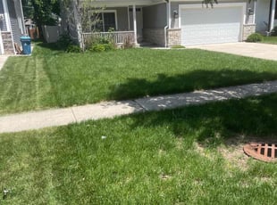 Nancy A.'s lawn service service result