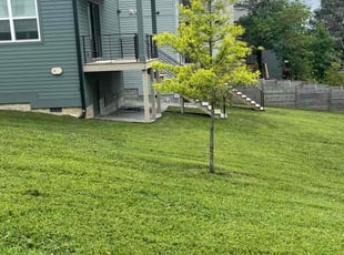 Matt C.'s landscaping services service result
