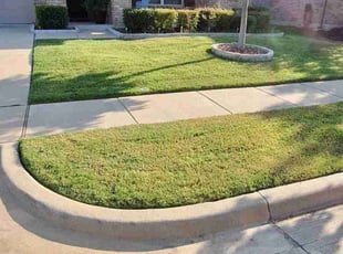 Jacob U.'s lawn service service result