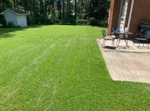 Laura P.'s grass cutting service result