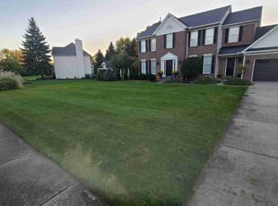 Joshua B.'s grass cutting service result