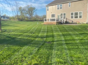 Janine K.'s turf care service result