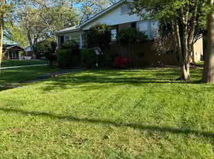 Laura J.'s lawn care service result