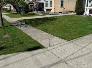 Carmen R.'s grass maintenance service result