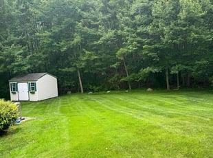 Henry A.'s grass cutting service result