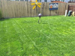 Gail m.'s turf care service result