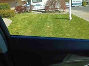 Katherine M.'s lawn care services service result