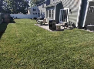Adria L.'s grass cutting service result