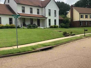Jan A.'s grass maintenance service result