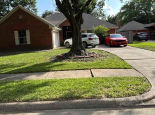 Lynn S.'s turf maintenance service result