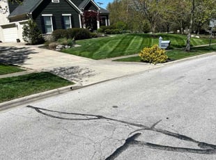 Carl C.'s lawn service service result