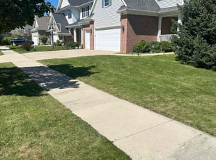 Lynett M.'s lawn care service result
