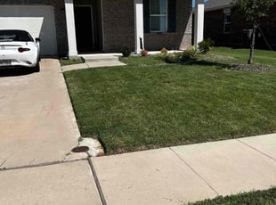 Jason K.'s lawn care services service result