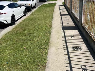 Sharon M.'s turf maintenance service result