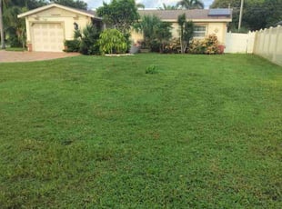 Dawn C.'s grass maintenance service result