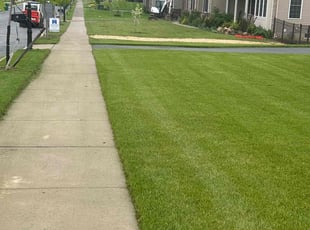 Joanna E.'s lawn care service result