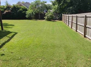 Shawn S.'s grass maintenance service result