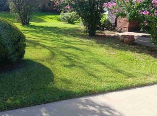 Velda C.'s lawn service service result