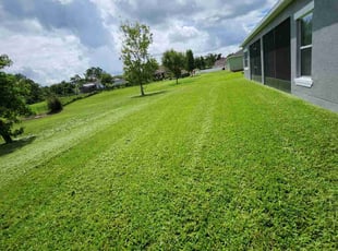 Andre L.'s grass maintenance service result