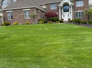 Toya D.'s grass cutting service result