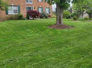 Lisa L.'s lawn care services service result
