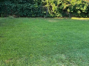 Patricia T.'s lawn service service result