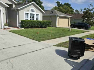 Kevin P.'s grass cutting service result