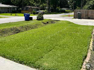 Bruce W.'s turf care service result
