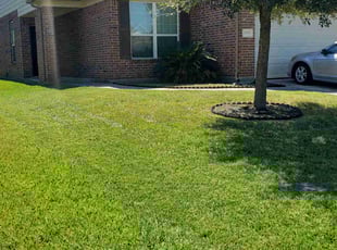 Jenn M.'s grass cutting service result