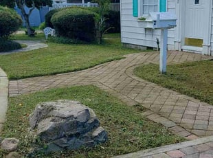 Collin Sr & Sherlene J.'s turf maintenance service result