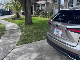 Keith C.'s lawn care service result