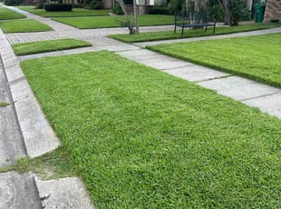 Patrick A.'s grass maintenance service result